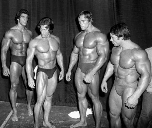 Arnold, Franco, Lou, Zane and Chiropractic
