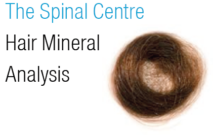 Spinal Hair Mineral Analysis 2
