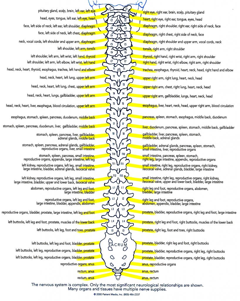 Patient Resources - The Spinal Centre